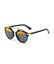 Picture of Ray Ban Aviator Sunglasses